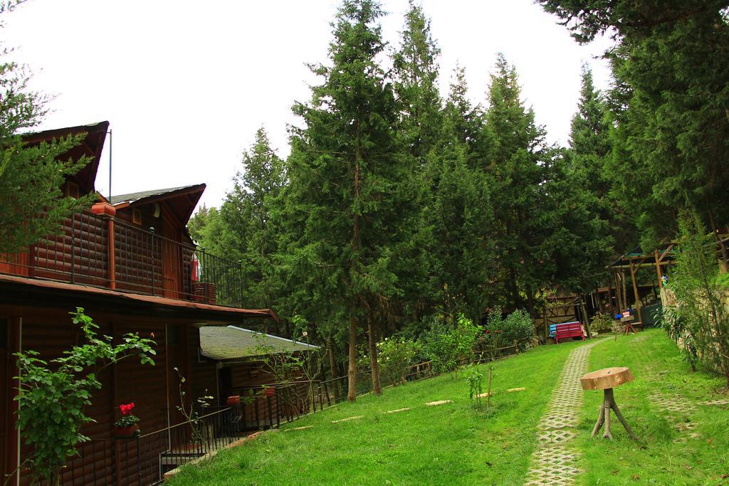 Lodge Forest *