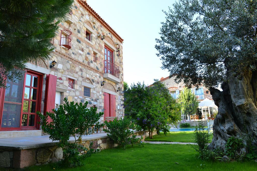 Hotel Zeytin
