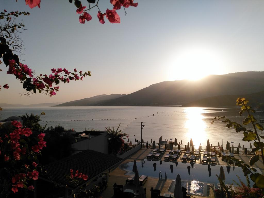 Sina (adults Only) Hotel Torba
