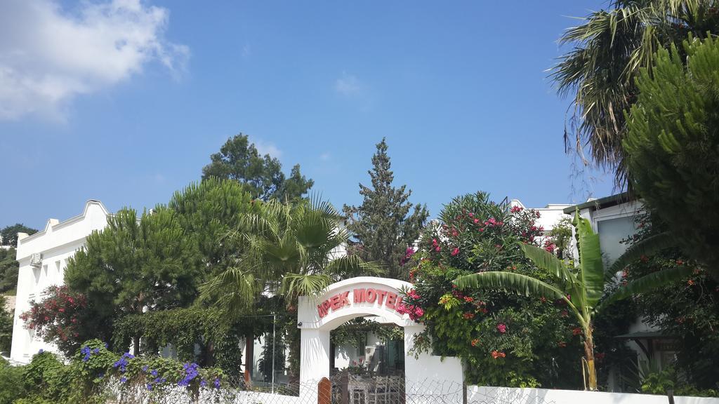 Ipek *