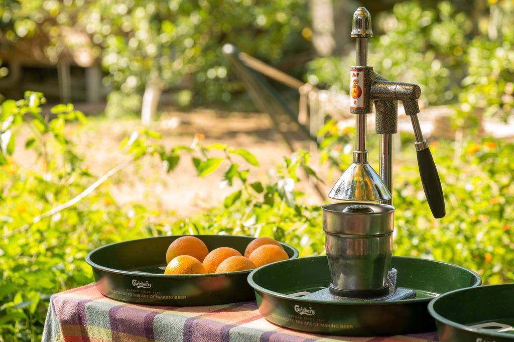 Campsite Secret Garden & Cirali