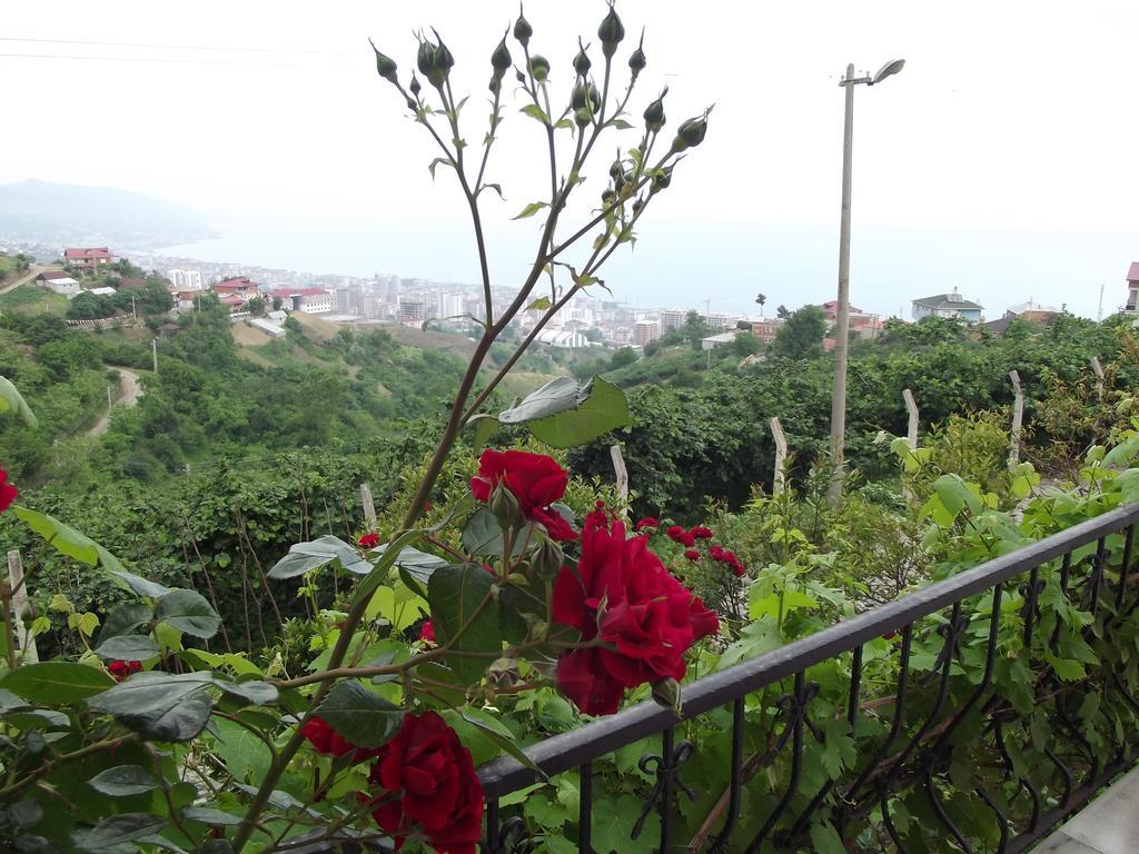Rose Trabzon Agacli (Trabzon)