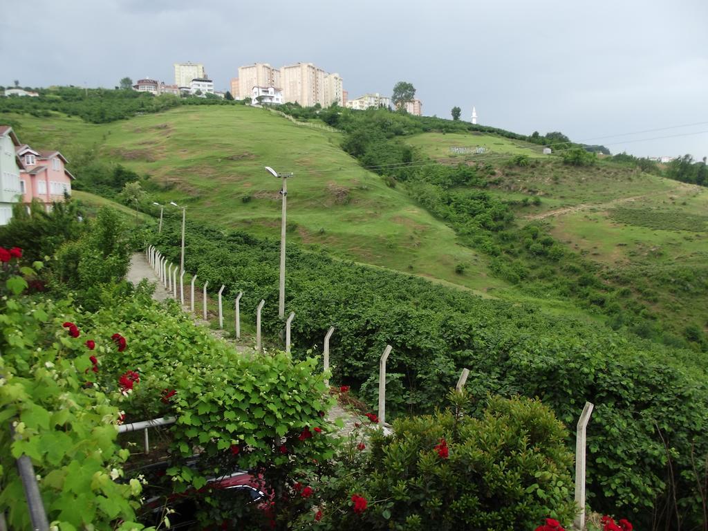 Rose Trabzon Villa *