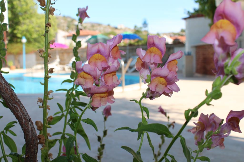 Turtle Beach Bungalows *