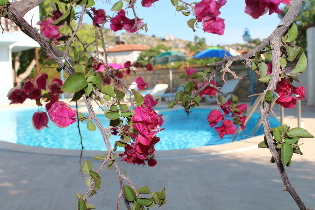Turtle Beach Bungalows *