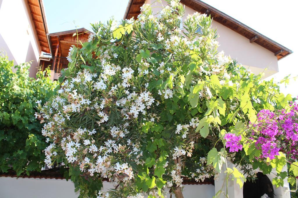 Turtle Beach Bungalows * Dalyan