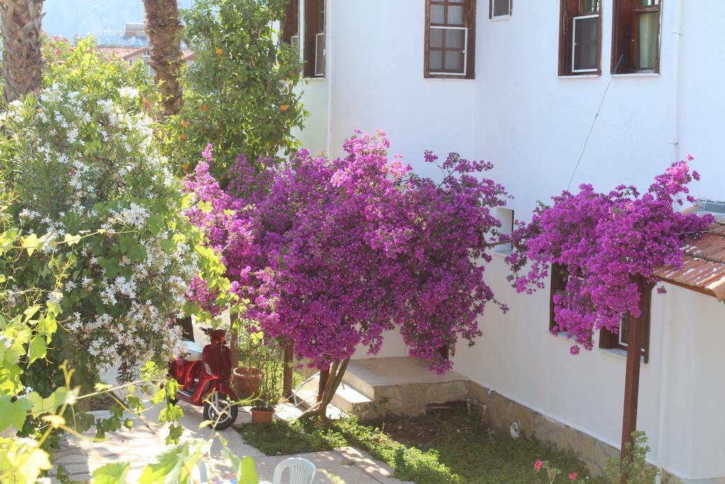 Turtle Beach Bungalows Dalyan