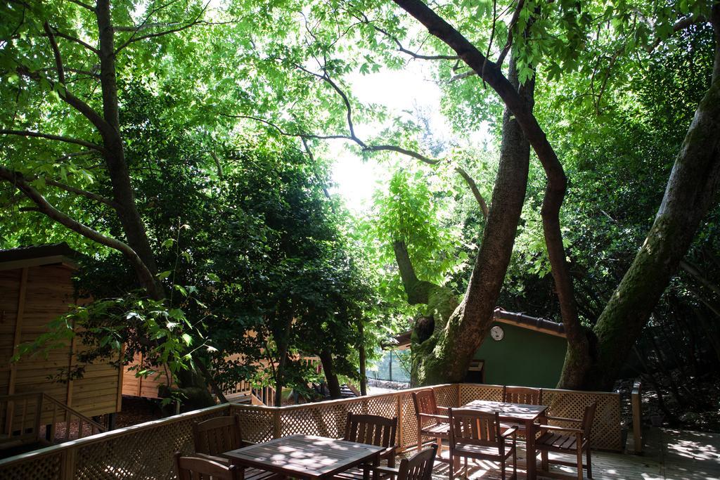 Ekinoks Bed & Breakfast Cirali