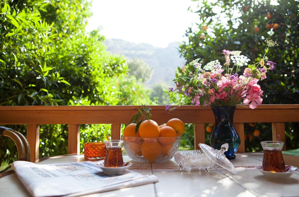 Bed & Breakfast Ekinoks Cirali