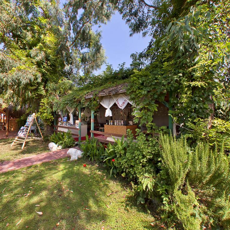 Lims Bona Dea 4* Kemer