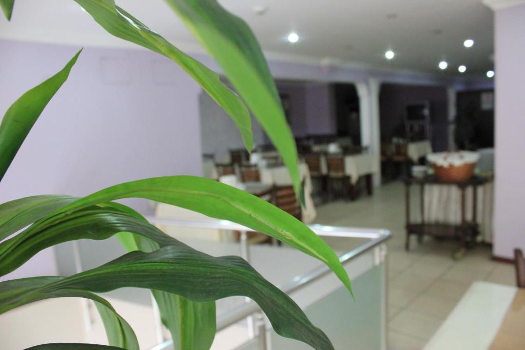 Nazar Hotel Trabzon