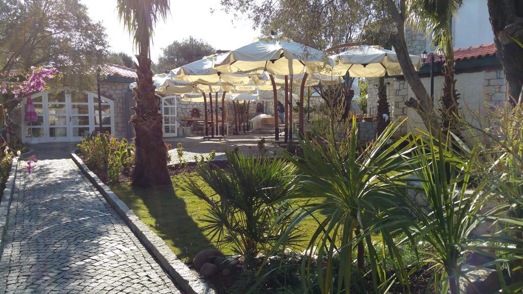Boreas (adults Only) Alacati