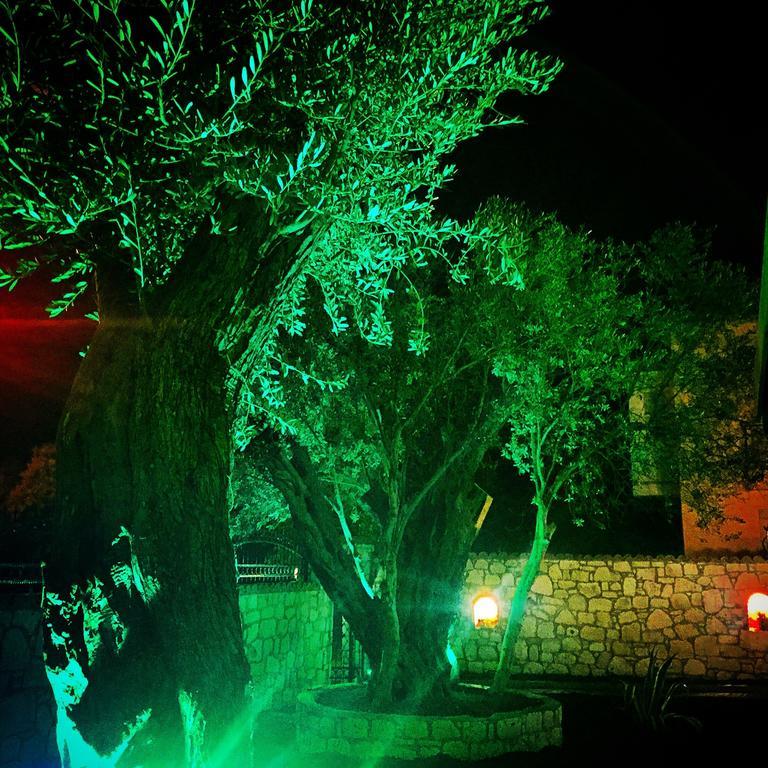 Bed & Breakfast Boreas (adults Only) Alacati