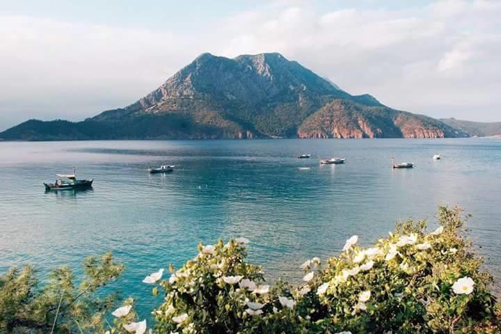 Hotel Adrasan Gelidonya Hotel 2*