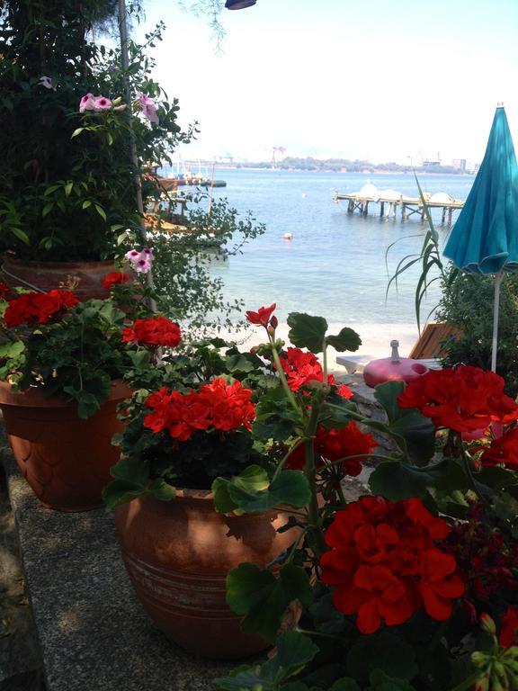 Homestay Tuzla Yacht Club *