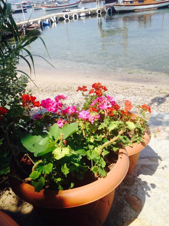 Tuzla Yacht Club