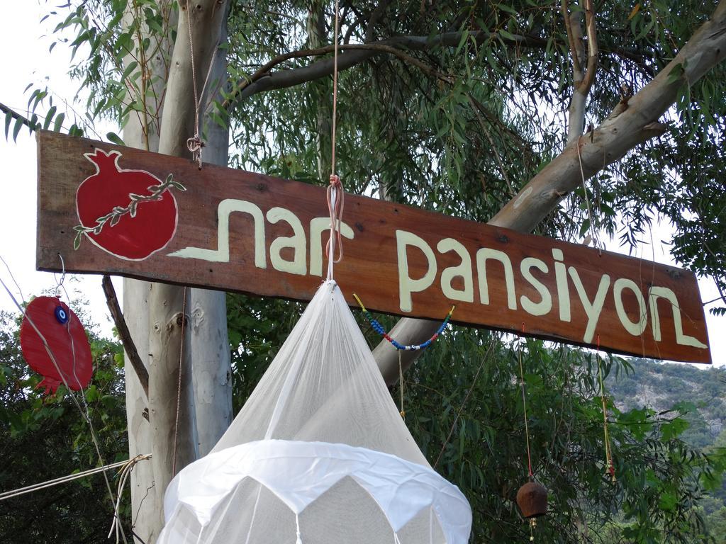 Guest house Nar *