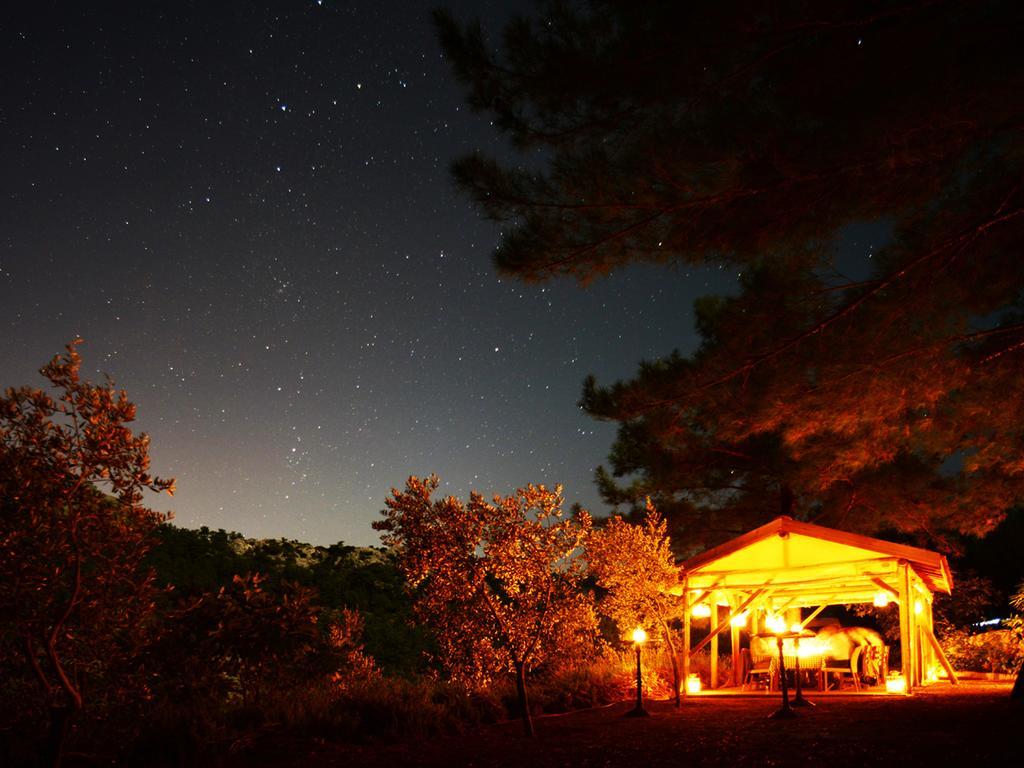 Hotel Dionysos 3*