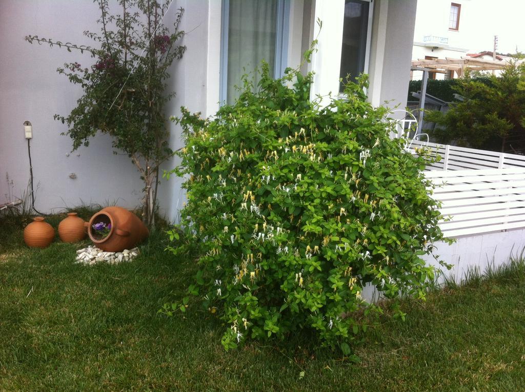 Aspasia House Bed & Breakfast Bozcaada