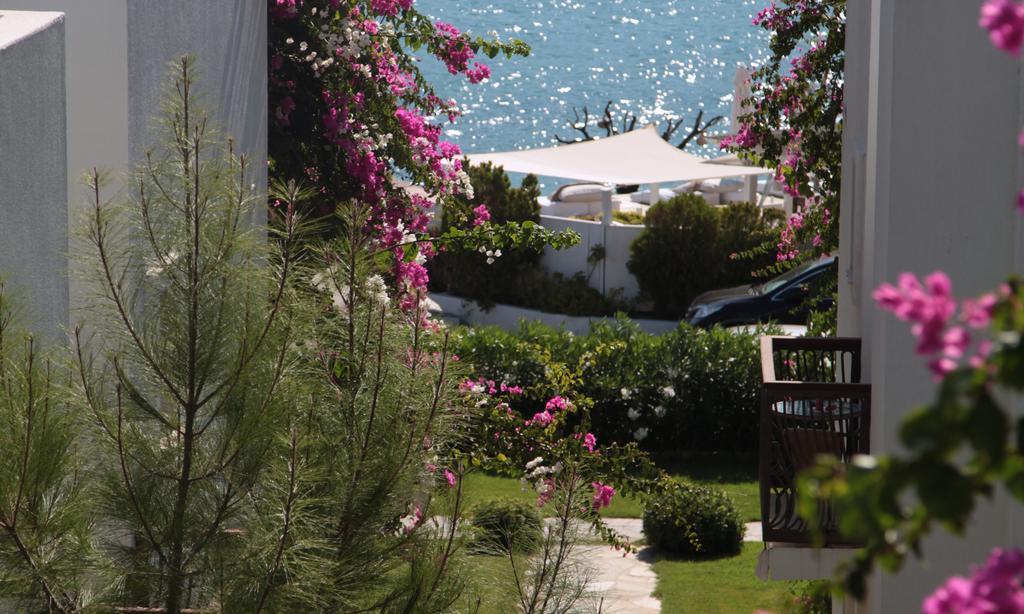 Hotel Sina (adults Only) Torba