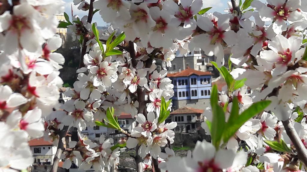 Demirkapi Hotel *