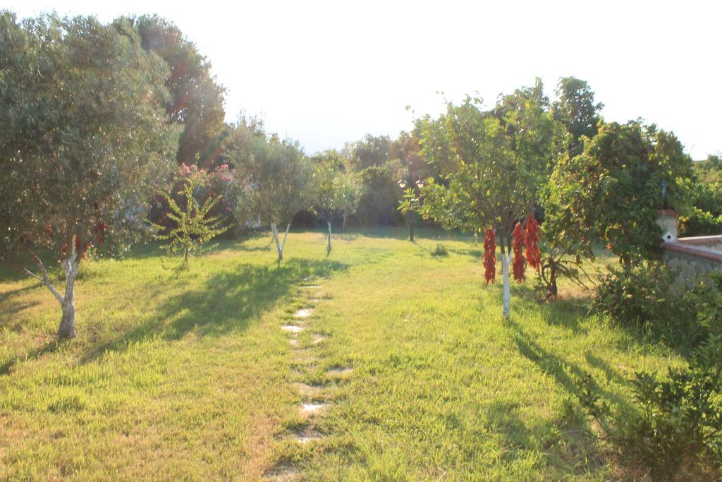 Mercan Bed & Breakfast Datca