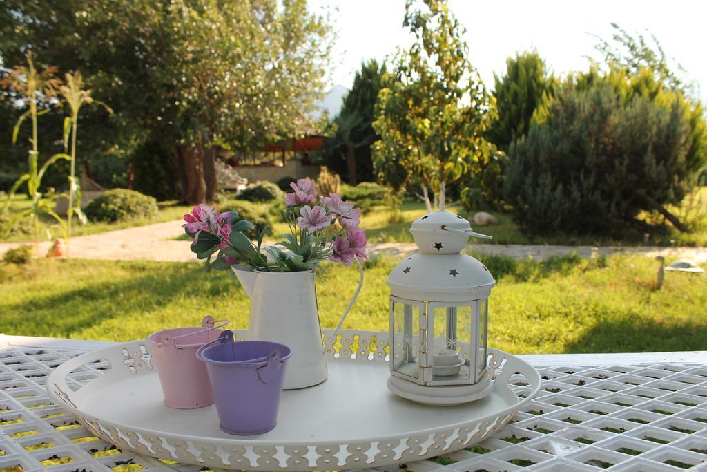 Mercan Bed & Breakfast Datca