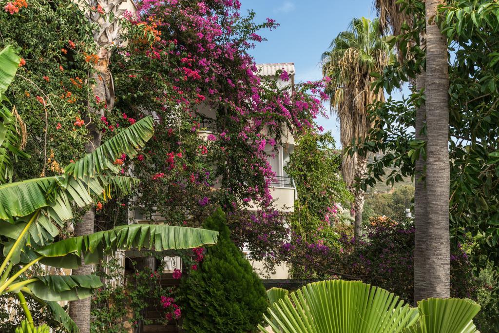 Pataros Hotel Hotel Patara