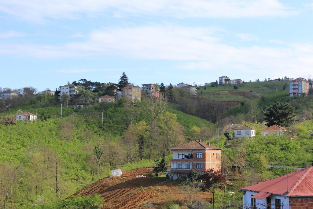 Green Village *