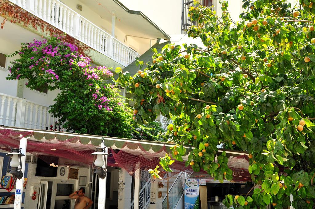 Bed & Breakfast Uysal