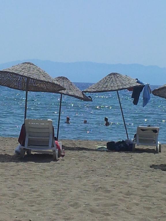 Birsin 3*