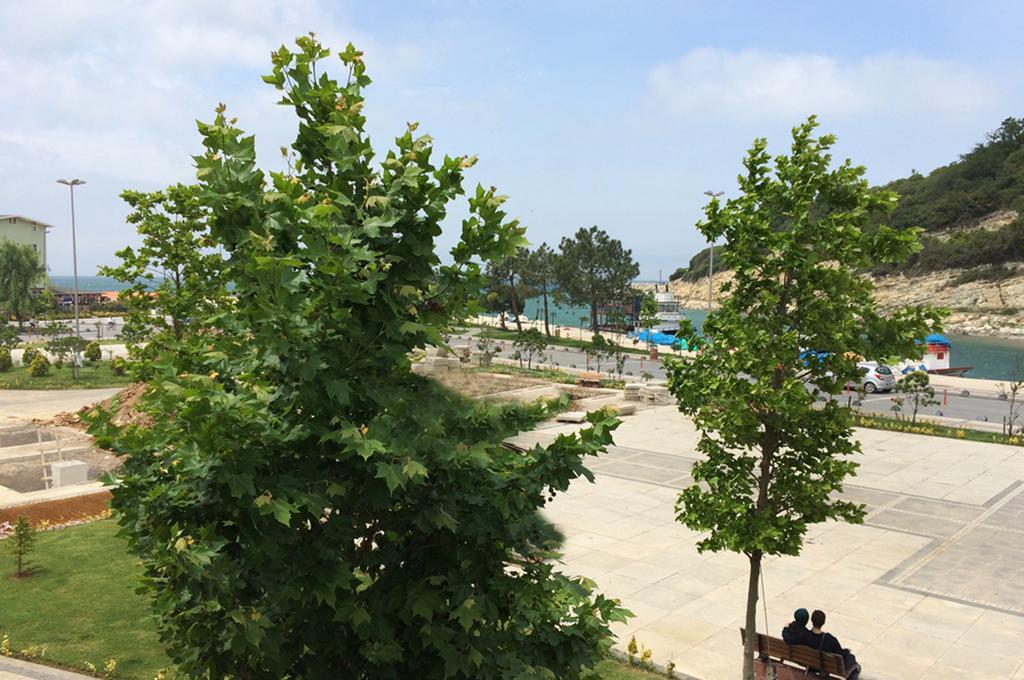 Hotel Piazza 3*