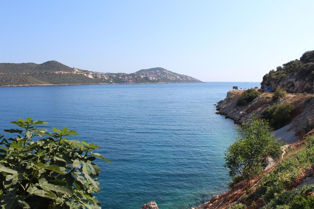 Koknar Guest house