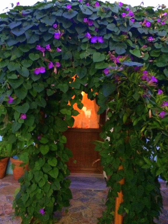 Herakles Bed & Breakfast *