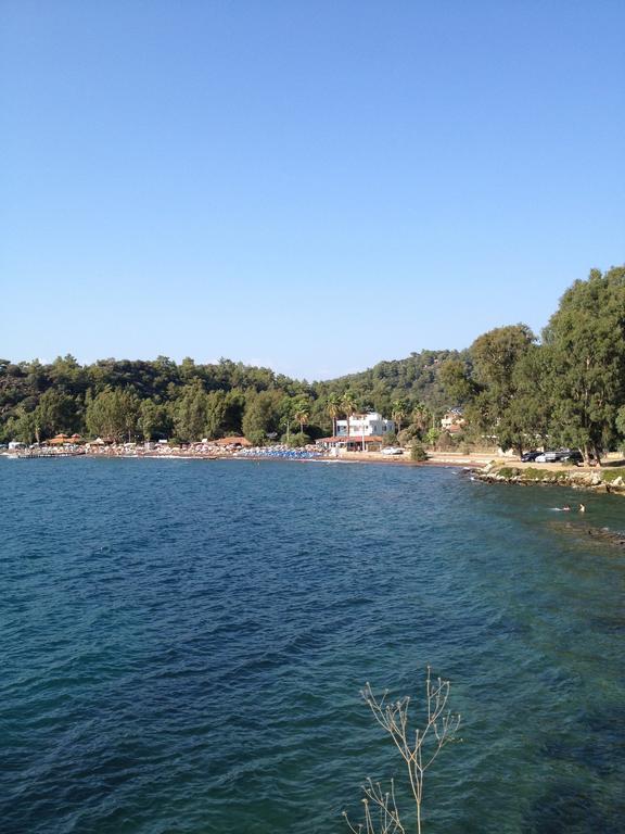 Gelincik * Orhaniye (Marmaris)