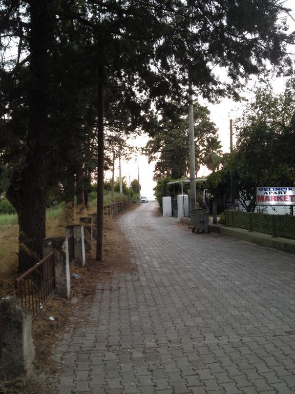 Gelincik