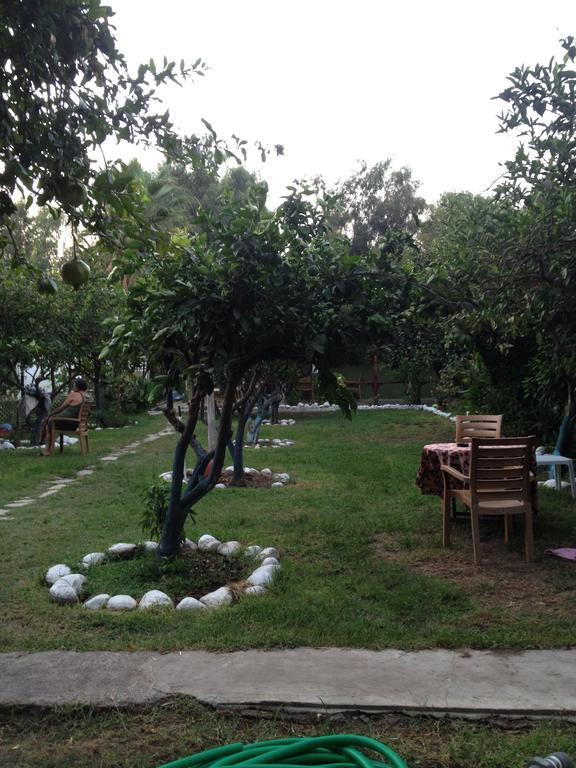 Homestay Gelincik Orhaniye (Marmaris)