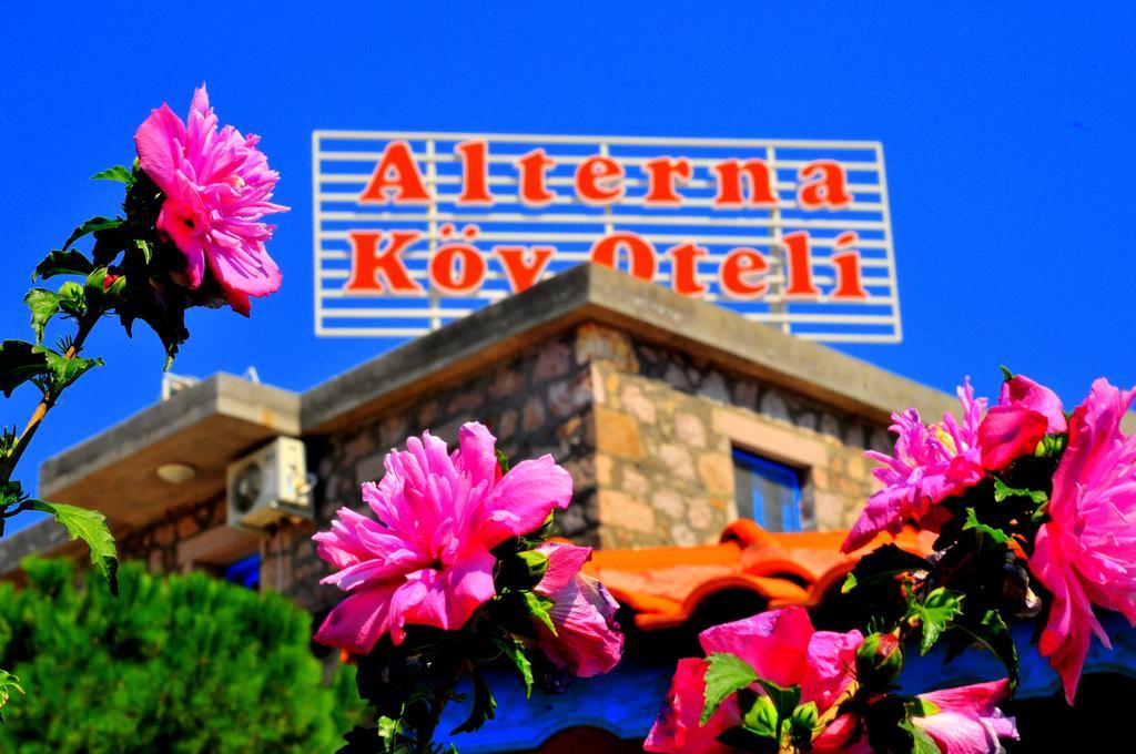Alterna Koey Evi