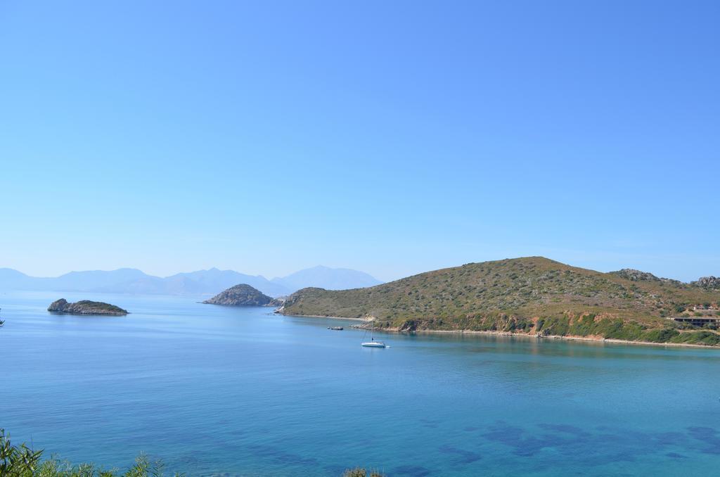 Mercan * Datca