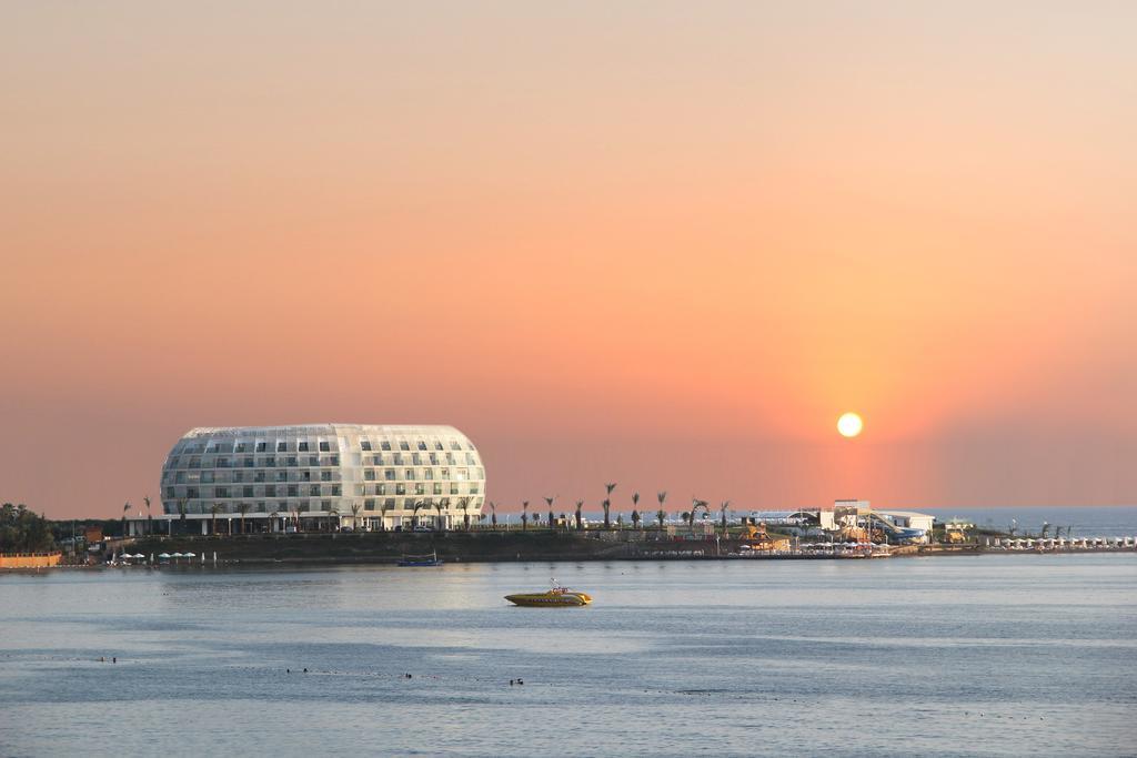 Gold Island
