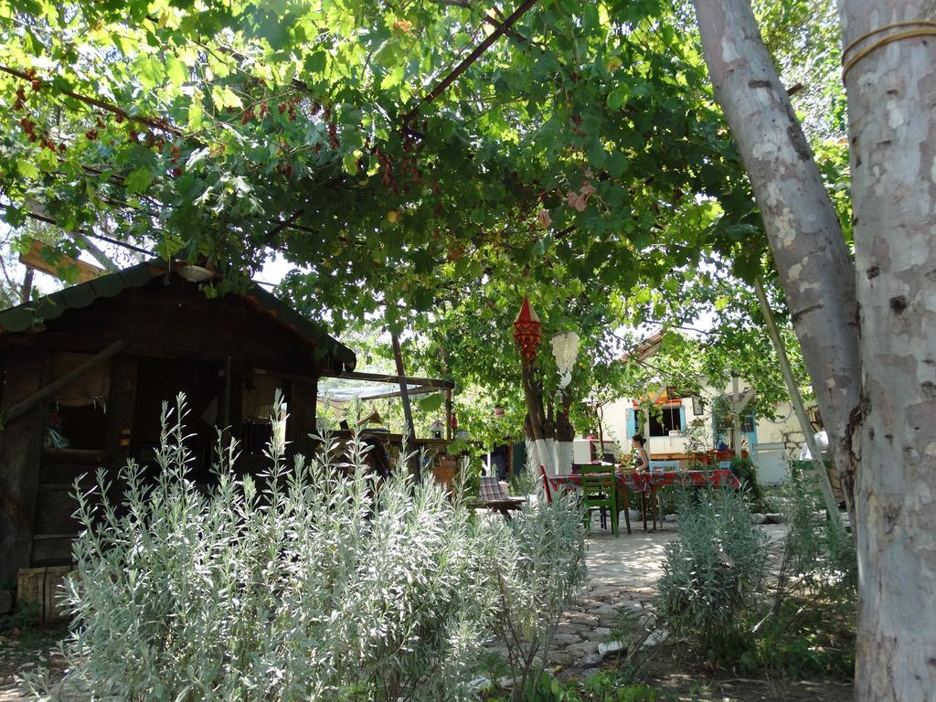 Guest house Nar