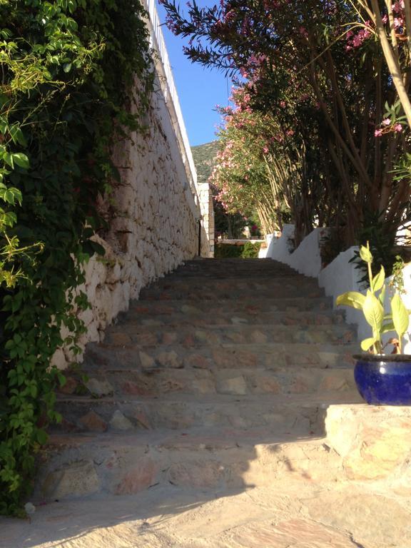 Lavender's 4* Kalkan