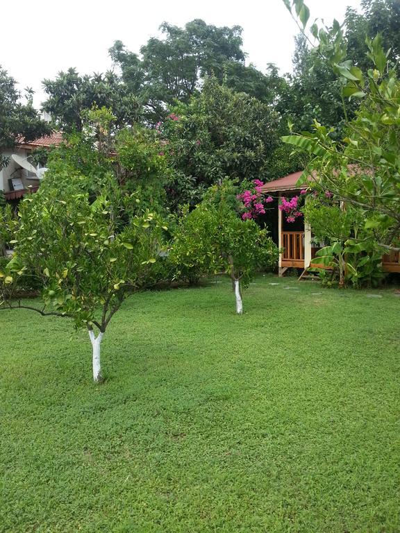 Homestay Oase Garden