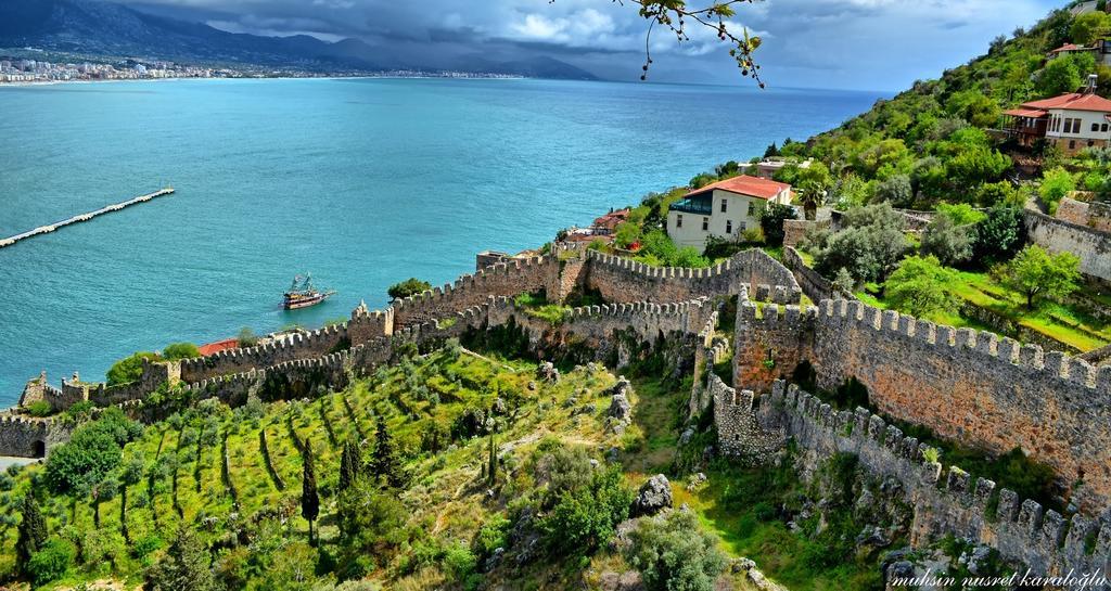 Alona Alanya