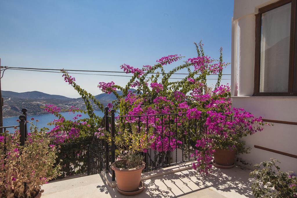 Asya Villa