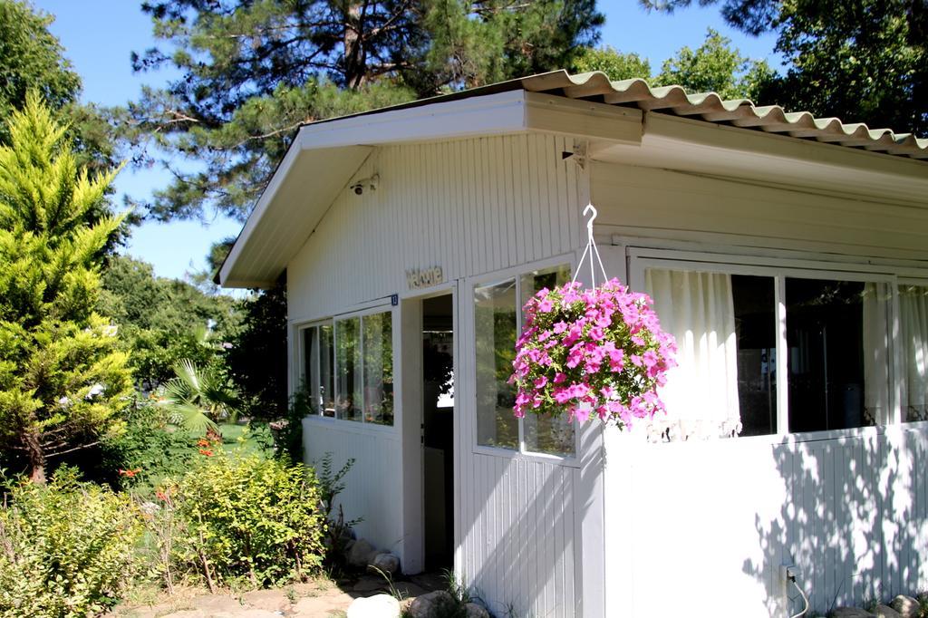 Bed & Breakfast Defne