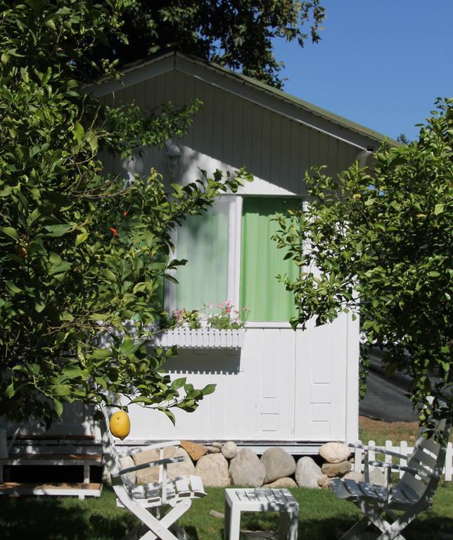 Defne Bed & Breakfast *