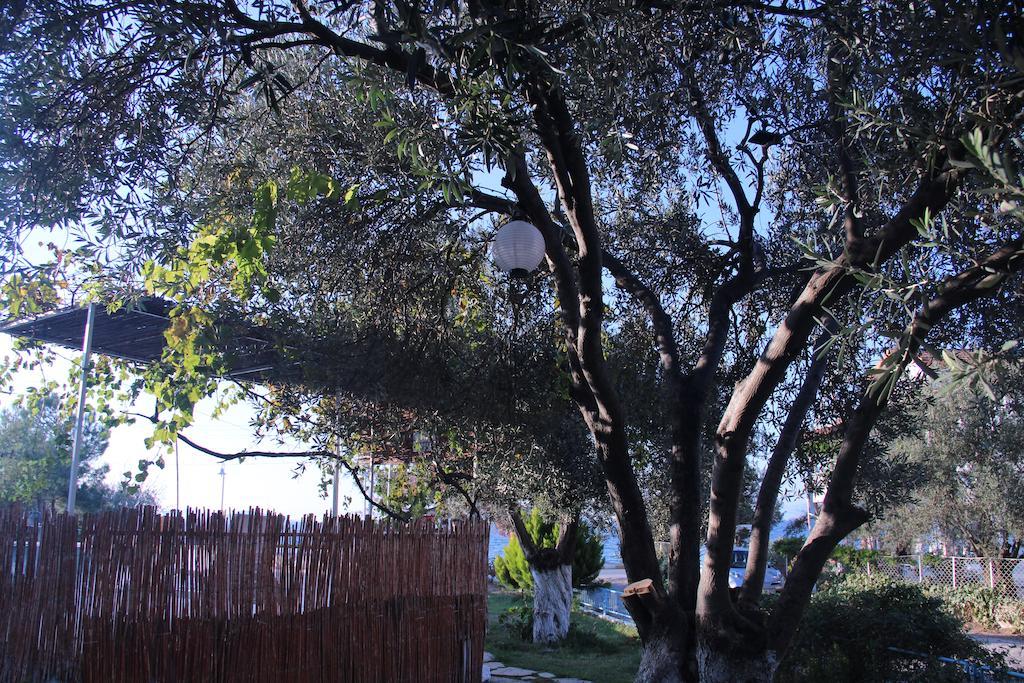 Guest house Ege & *