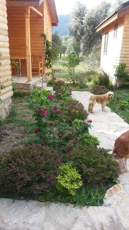 Mihricem Mesudiye (Datca)