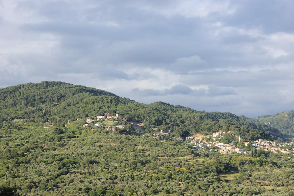Assos Kayalar Terrace